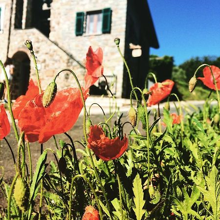 Agriturismo Angio Nel Cere Bracelli Eksteriør bilde