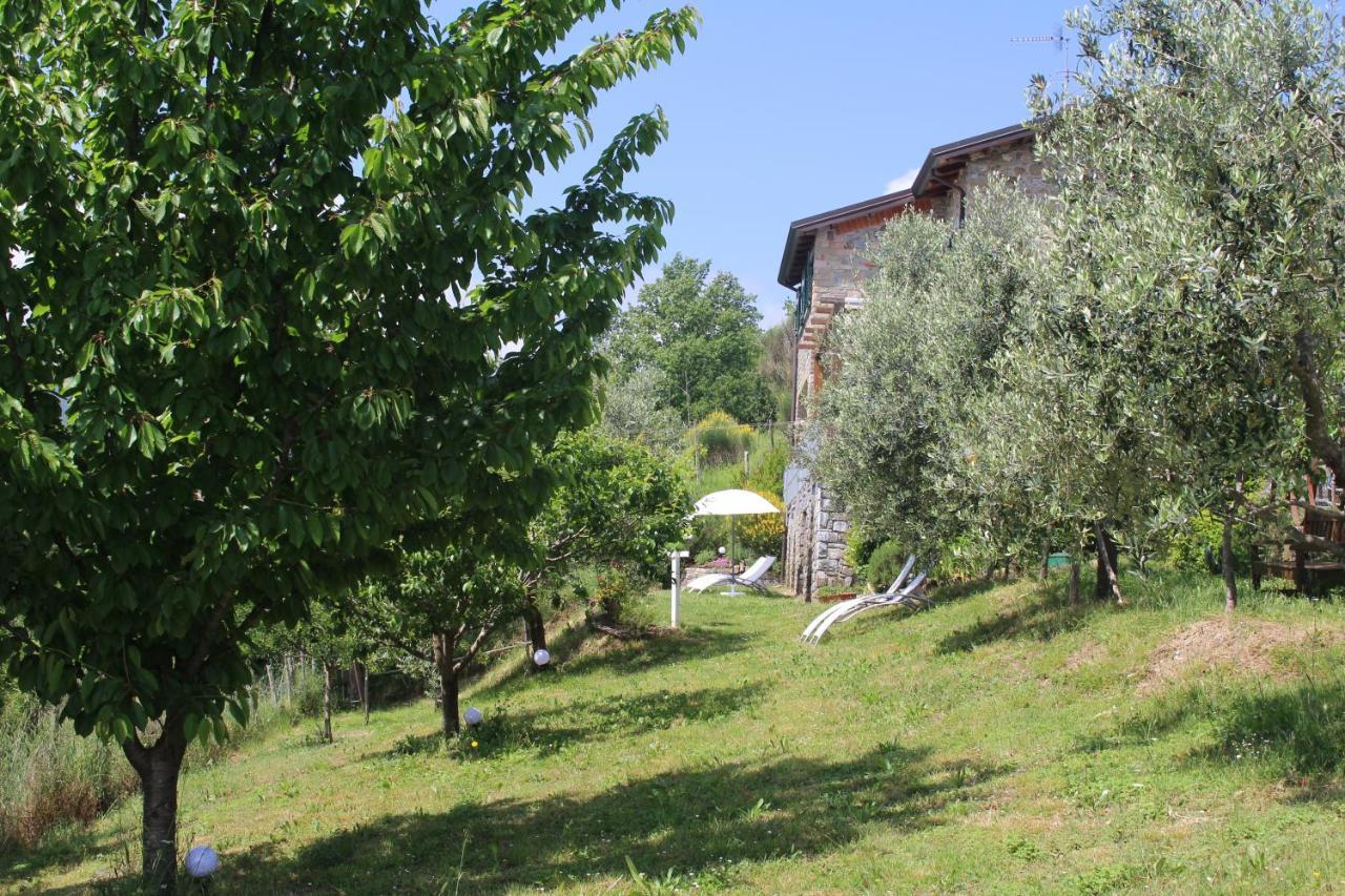 Agriturismo Angio Nel Cere Bracelli Eksteriør bilde