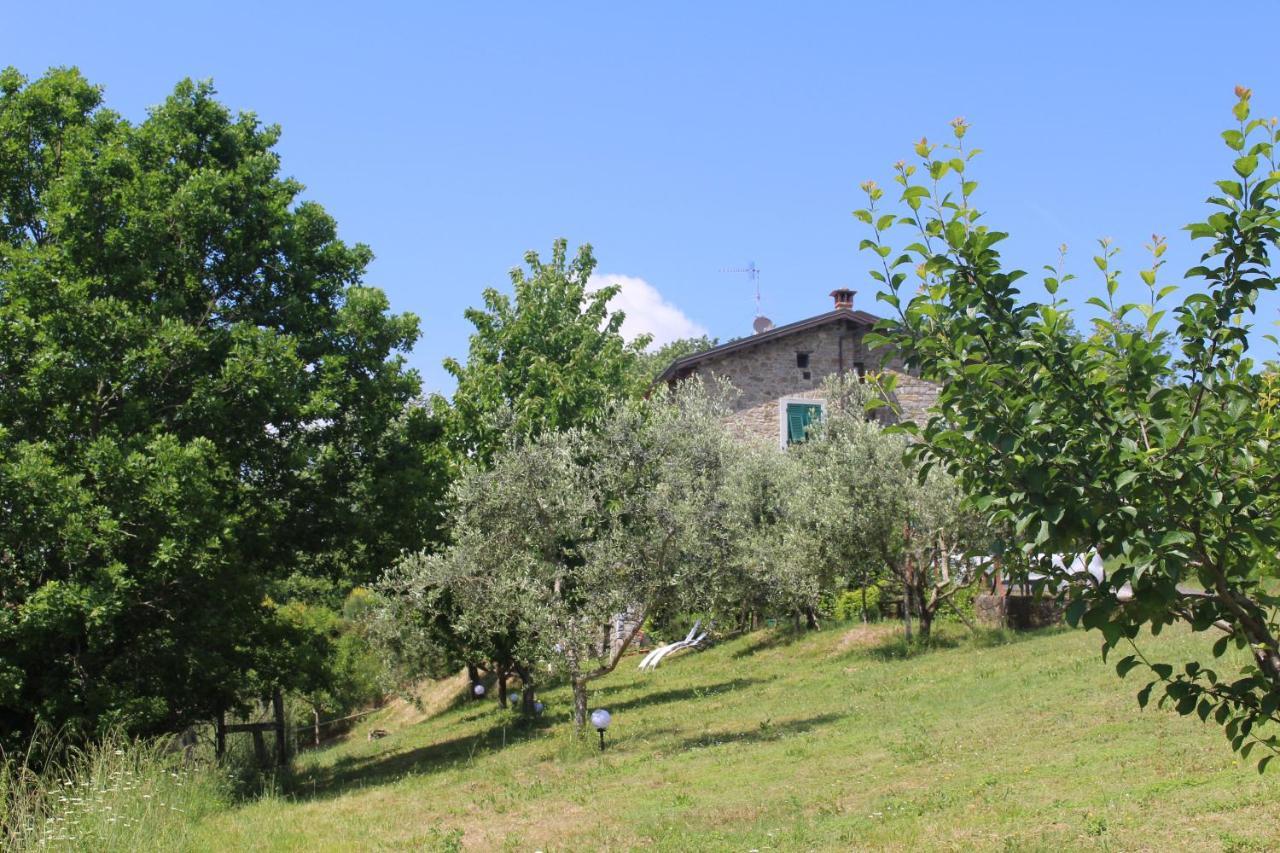 Agriturismo Angio Nel Cere Bracelli Eksteriør bilde