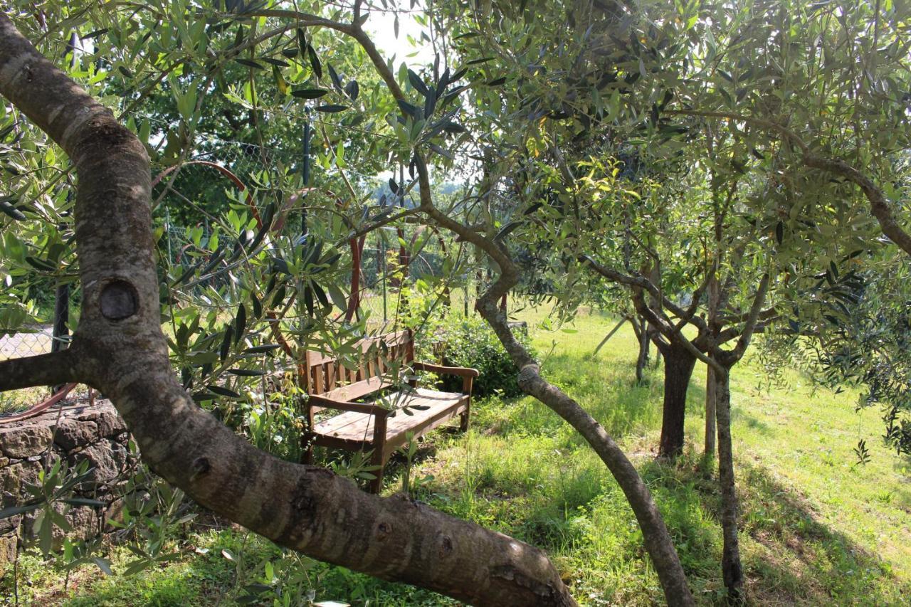Agriturismo Angio Nel Cere Bracelli Eksteriør bilde