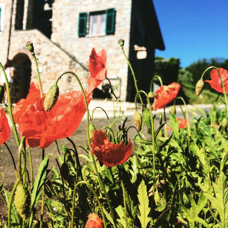 Agriturismo Angio Nel Cere Bracelli Eksteriør bilde