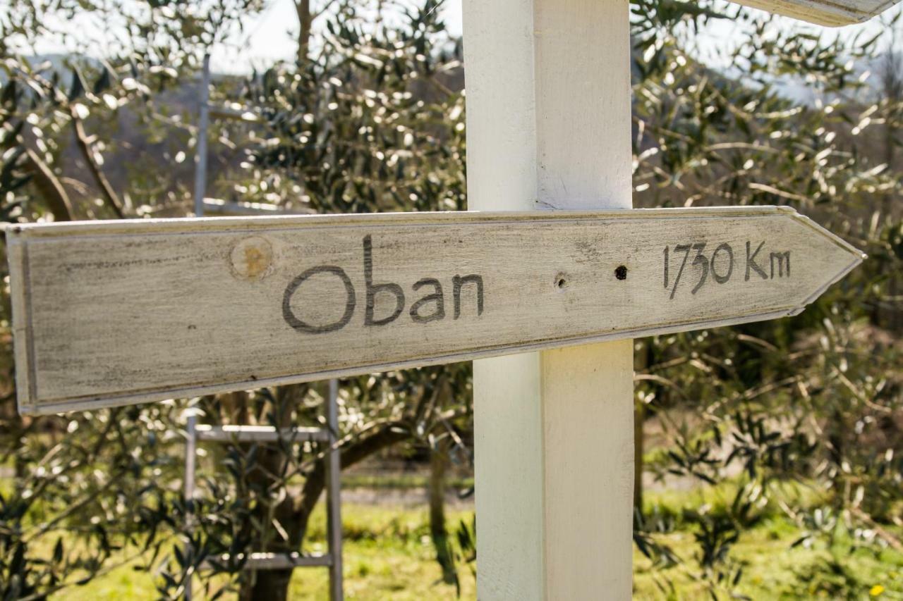 Agriturismo Angio Nel Cere Bracelli Eksteriør bilde