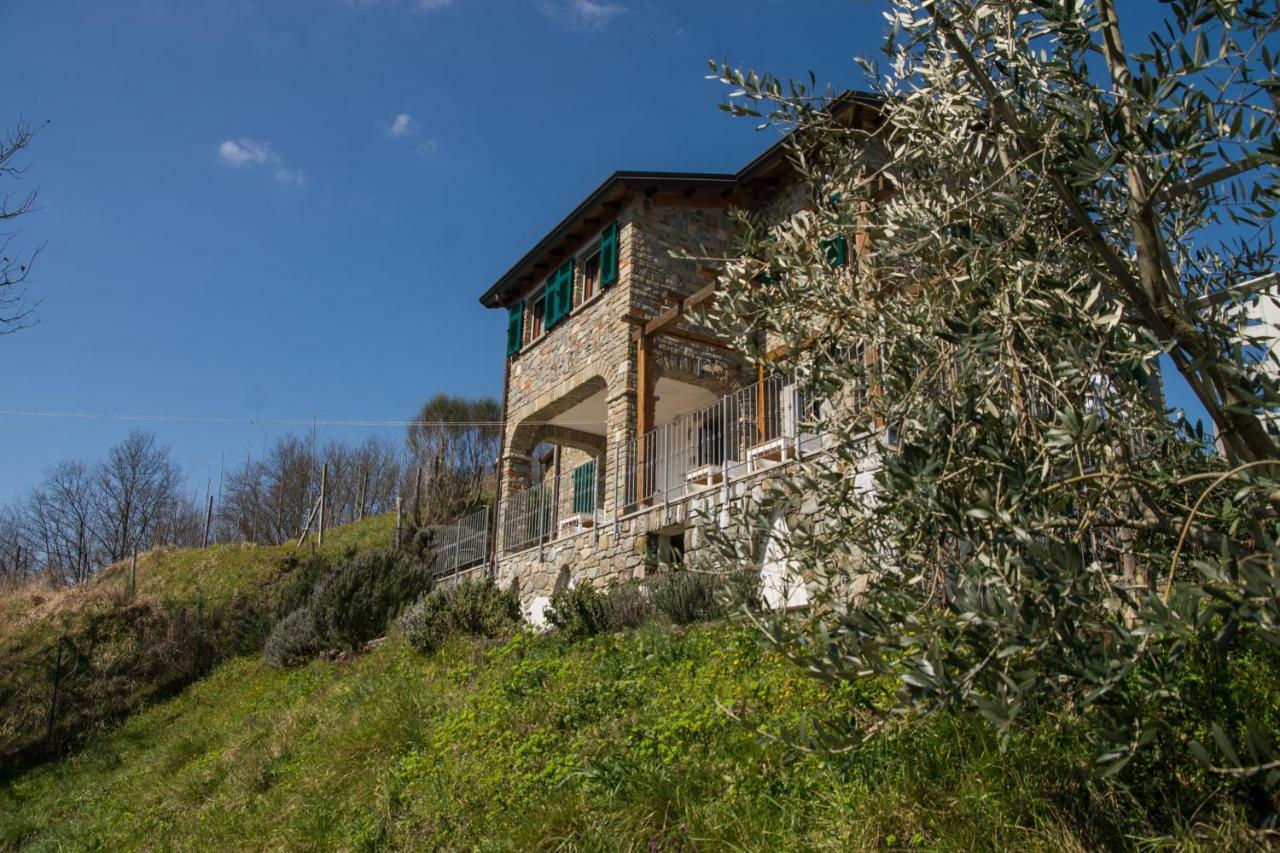 Agriturismo Angio Nel Cere Bracelli Eksteriør bilde