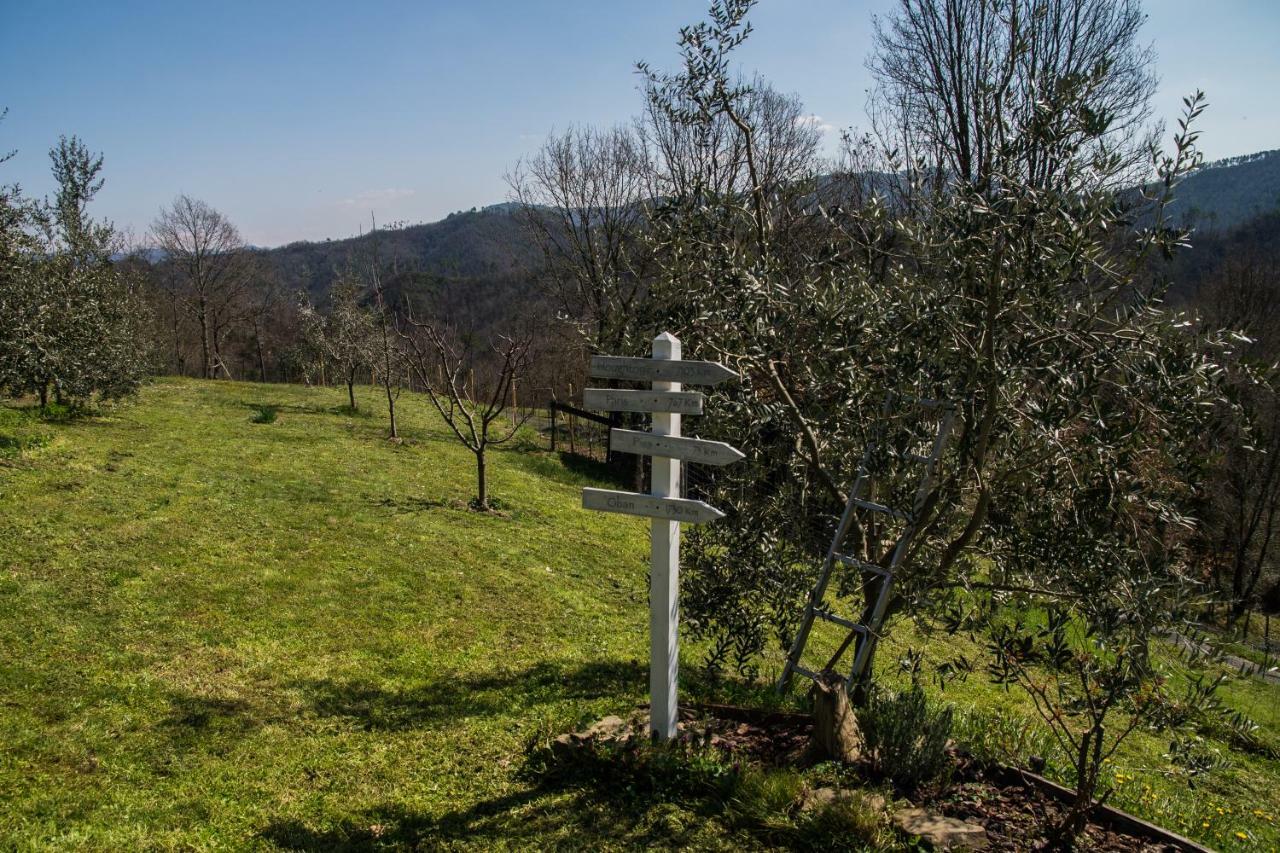 Agriturismo Angio Nel Cere Bracelli Eksteriør bilde